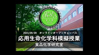 模擬授業「食品の化学」 応用生命化学科 農学部オンラインオープンキャンパス2023 [upl. by Nyvek]