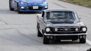 1966 Ford Mustang GT Fastback 289 HiPo [upl. by Axel]