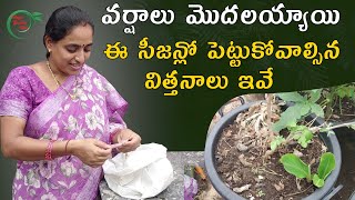 ఈ సీజన్లో పెట్టుకోవాల్సిన విత్తనాలు ఇవే  SEEDS FOR THIS SEASON  TELUGU GARDEN VLOG [upl. by Standford494]