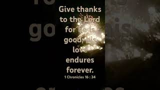 Give thanks to the Lord bible givethanks lord love enduresforever shorts happythanksgiving [upl. by Lambart36]