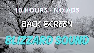 Relaxing to Blizzard Sounds  Deep Sleep Relaxion Study  Black Screen [upl. by Hebrew]