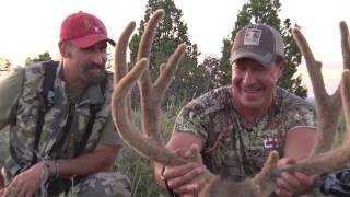 AMAZING Archery Mule Deer Hunt  Mark Heck  MossBack [upl. by Bounds228]