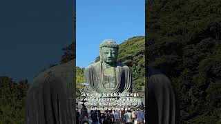 Take a peek at Kamakura Daibutsu at kamakura greatbuddha [upl. by Thecla]