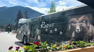 Travel Banff on a budget 😉 AttractionsBus Services Food [upl. by Marianna]