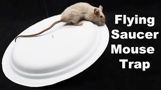 The Flying Saucer Mouse Trap A Hilarious DIY Paper Plate Trap That Works Mousetrap Monday [upl. by Motch]