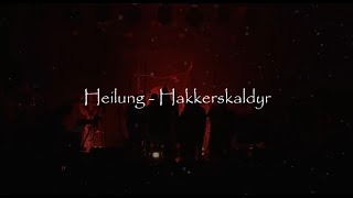 HEILUNG  Hakkerskaldyr lyrics translation and explanation [upl. by Johnnie]