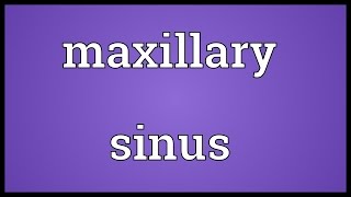 Maxillary sinus Meaning [upl. by Gnilrits]