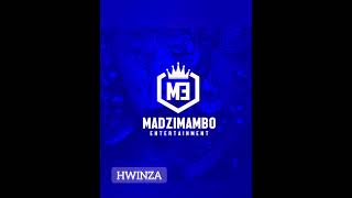 Hwinza  Hazvizoda MADZIMAMBO RIDDIM [upl. by Hanas158]