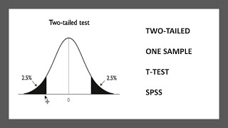 One Sample ttest TwoTailed in SPSS [upl. by Johnsten]