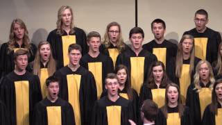 Miserere Mei Chamber Singers A Lotti [upl. by Yejus999]