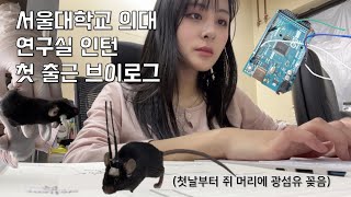 서울대 의대 연구실 인턴 1일차 vlog  뇌과학자가 될거야 [upl. by Naujej]