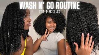 My Wash N Go Routine 2024  Type 43B Natural Curly Hair [upl. by Adikram]