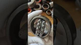 Selfaligning Ball Bearing [upl. by Elokin]