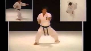 Kyokushin Karate Bible HDwmv [upl. by Saticilef]