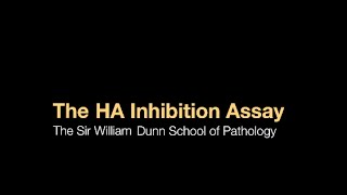 The HA inhibition assay [upl. by Derrick]