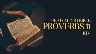 Proverbs 11 KJV  Wisdom for Life  Audio Bible Reading  Proverbs a Day [upl. by Ynnig]