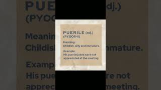 shorts vocabulary  PUERILE [upl. by Newg]