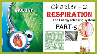 Respiration  The energy releasing system 10th Biology Part5 [upl. by Sherlock]