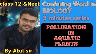 POLLINATION IN AQUATIC PLANTS [upl. by Pettiford]