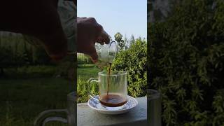 Decoction tea  simple and easy tea lovers try it youtubeshorts youtubevideos [upl. by Hareemas]