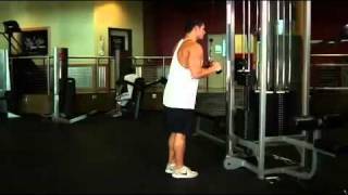 Triceps  Triceps Pushdown  VBar Attachment Exercise Guide [upl. by Pontus206]