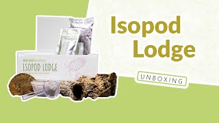 Isopod Lodge Unboxing amp Setup [upl. by Wj]