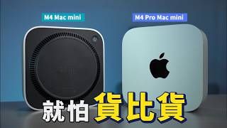 Mac mini 對比測試：M4 vs M4 Pro 兩倍的價格，值得嗎？｜彼得森 [upl. by Nylsirk]