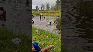 Dolphin കുഞ്ഞിനെ കണ്ടോ 😄😄 water fish river kakkayam kariyathumpara water swimming dolphin [upl. by Danna]