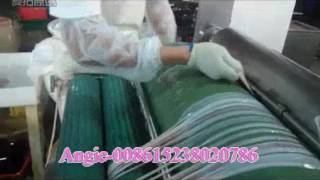 working video for casing cleaning machine sheep instestine cleaner [upl. by Aluor]