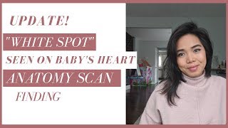 UPDATE White Spot On Babys Heart  Echogenic Intracardiac Focus [upl. by Esydnac]