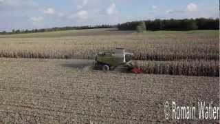 Vue aérienne dune récolte de maïs grain avec moissonneuse Class Lexion 760 à chenilles [upl. by Lloyd]