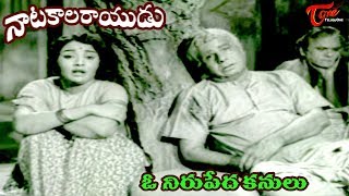 Natakala Rayudu Telugu Movie Songs  Voo Nerupeda  Nagabhushanam  Kanchana  OldSongsTelugu [upl. by Iinde]