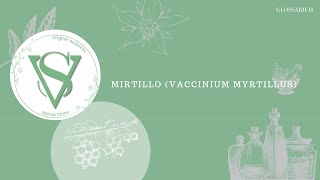 MIRTILLO Vaccinium Myrtillus [upl. by Ysdnyl]