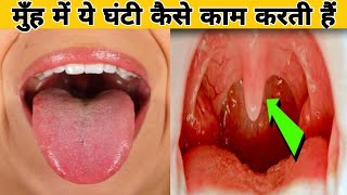 मुंह के अंदर ये घंटी क्यों होती है  और इस्को क्या कहते हैं   How Uvula Works in Hindi [upl. by Asen]