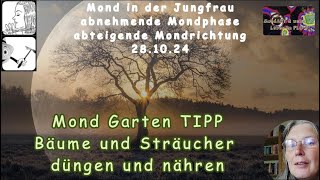 Mond Garten TIPP  Bäume und Sträucher jetzt düngen und nähren [upl. by Zeiler]