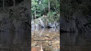 Cougal Cascades rock jumping and natural waterslide in Currumbin Valley 🌴 Jungle bathtubs [upl. by Cicely]