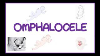 OMPALOCELE [upl. by Idisahc489]