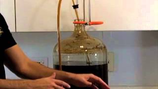 How To Use An Auto Siphon To Transfer Homebrew [upl. by Eniagrom]