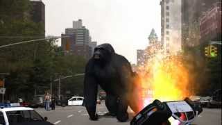 King Kong spotted in New York incredible shots 2012  free use [upl. by Cyn49]