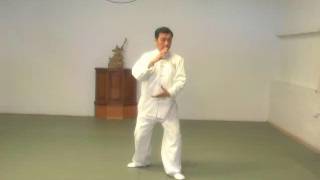 Full set Tai Chi Shyun [upl. by Kwabena103]