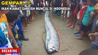 GEMPAR MUNCULNYA IKAN OARFISH DI LAUT INDONESIABENARKAH KEMUNCULANYA DISEBUT PERTANDA BENCANA [upl. by Dviad212]