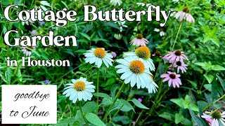 June 30 2024 Cottage Butterfly Garden Tour in Houston Texas zone 9 [upl. by Urbas361]