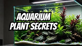 Top 21 Low Light Plants For Aquariums 🌿 [upl. by Rezzani]