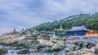 ADVENTURE IN BUSAN korea koreatravels shorts video night travel fyp love philippines yt [upl. by Bonny]