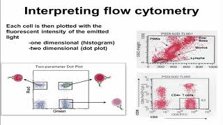 Flow Cytometry Verbsky [upl. by Nahsrad]