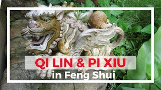 Pi Xiu Pi Yao and Qi Lin as the Feng Shui cure or decoration [upl. by Huff]