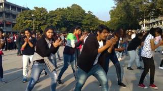 Flash Mob  INSOMNIA 2017  IISER Mohali [upl. by Jonathan375]