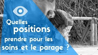 TUTO 2  Quelles positions prendre pour les soins et le parage [upl. by Piefer]