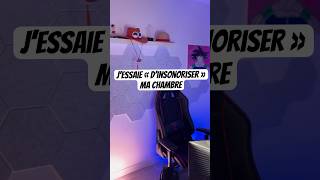 Vlog  Insonoriser ma chambre ou louer un local pour mes streams  Partie 3 [upl. by Galasyn]