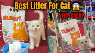 Very Economical Cat Litter  Wooden PalletCat Litter  Best amp Cheap Cat Litter [upl. by Euqcaj]